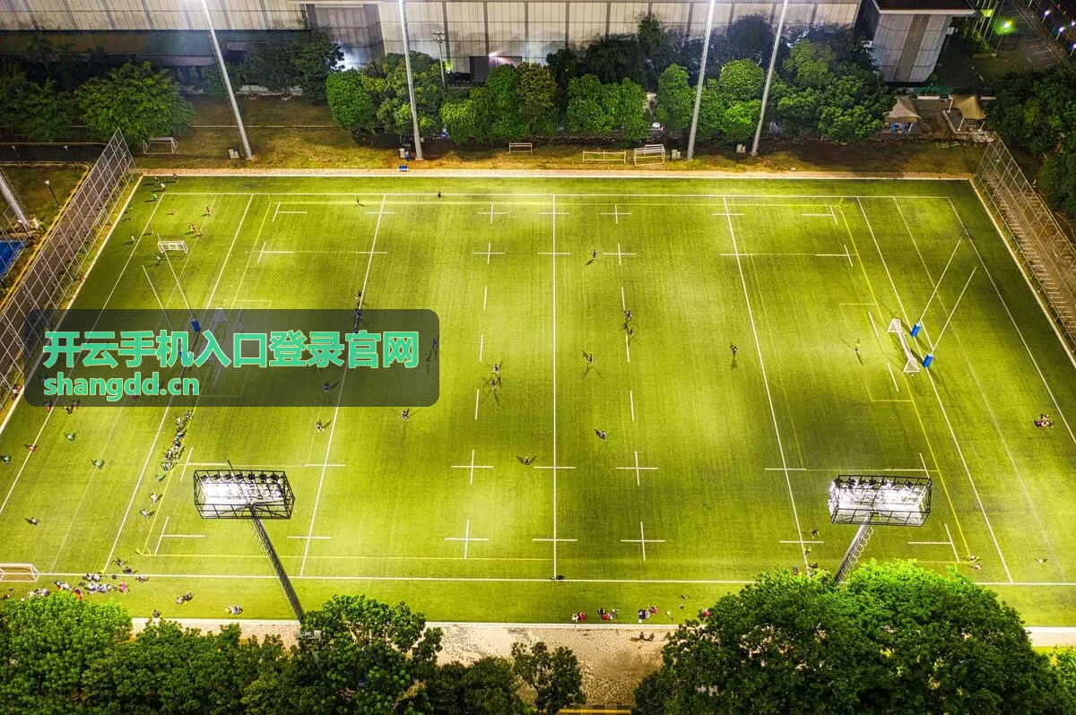 开云手机入口登录官网 手机安全登录免密认证示意图