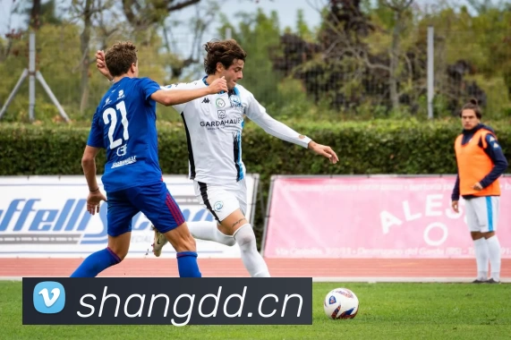 世界杯在线超清直播服务体系