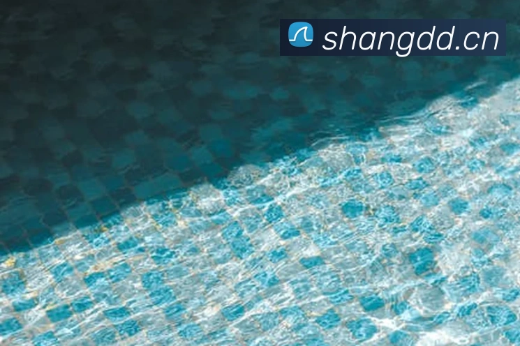 奖项图2